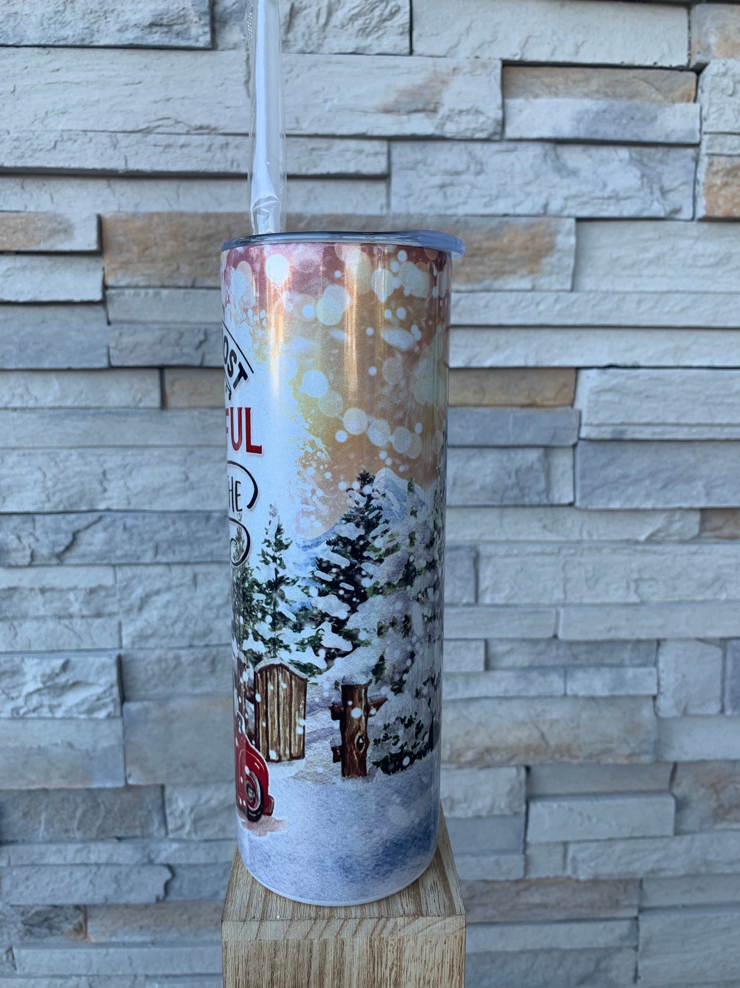 It’s The Most Wonderful Time Of The Year Christmas Shimmer 20oz Skinny Tumbler